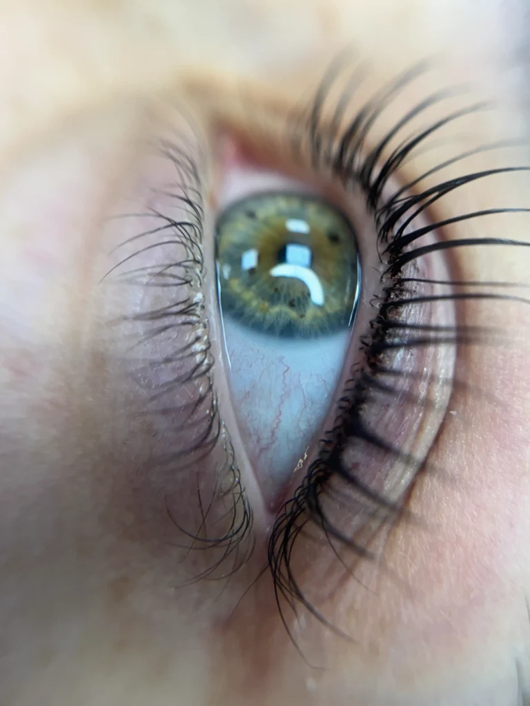 Εκπαίδευση Korean Lift – Lash Lift – Brow Lamination